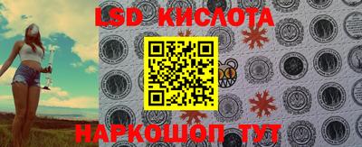 прущие крисы Славгород