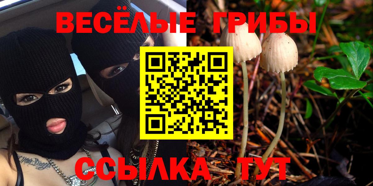 Галлюциногенные грибы Psilocybine cubensis  где купить наркотик  Пенза  Вход с VPN 